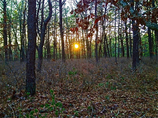 388324_2988797241296_1303022102_3241955_1665637021_n